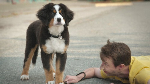 Superpups, Superheroes still
