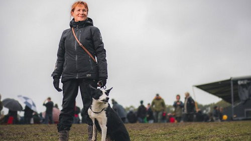 Sheepdog Showdown Season 1 Episode 2 - Episode 2
