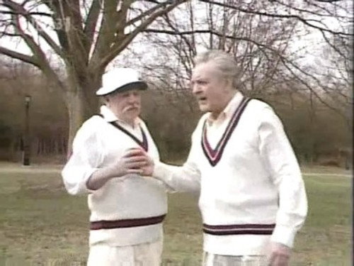 Definitely Not Cricket! still