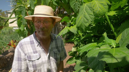 Gardening Australia Season 30 Episode 10 - Episode 10