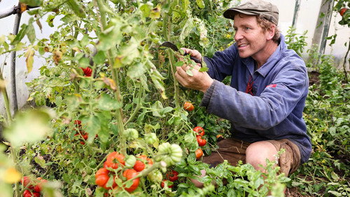 Frank & Kastaniegaarden Season 30 Episode 14 - Episode 14