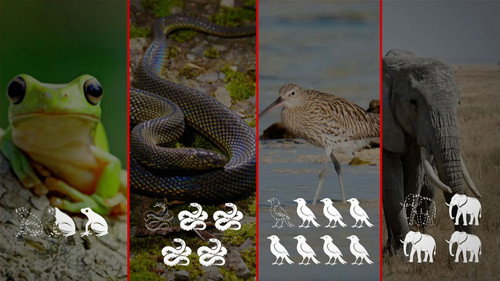 Mapping the World Season 36 Episode 17 - Biodiversity: SOS animals