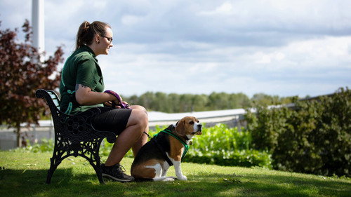 The Dog House Season 2 Episode 7 - Episode 7