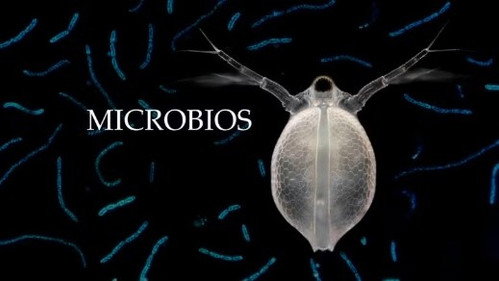Planeta Microbio Season 1 Episode 1 - Episode 1