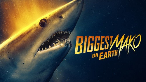 Shark Week Season 39 Episode 6 - Biggest Mako on Earth
