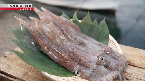 Trails to Oishii Tokyo Season 7 Episode 6 - Spear Squid