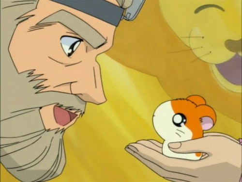 Doctor Lion still