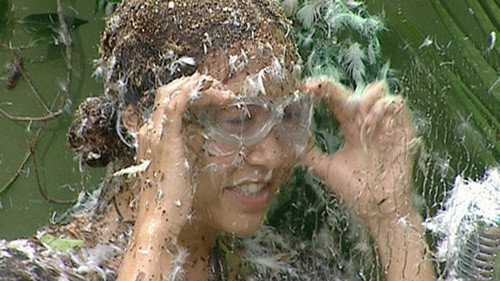 I'm a Celebrity...Get Me Out of Here! Season 6 Episode 19 - Final: Bushtucker Bonanza / Fill Your Face / Scareoke