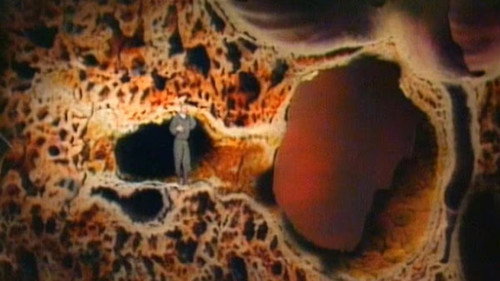 The Wonderful Machine Season 1 Episode 7 - The Lungs