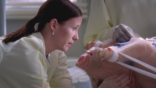 Grey's Anatomy Season 5 Episode 6 - Life During Wartime