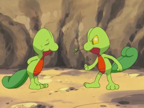 Pokémon Season 6 Episode 7 - Tree's a Crowd