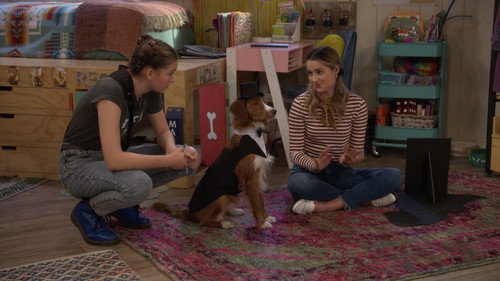 Side Hustle Season 1 Episode 12 - Dog WedDING!