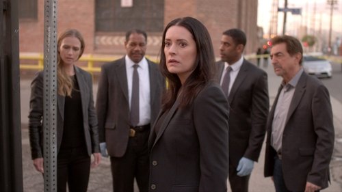 Criminal Minds Season 11 Episode 19 - Tribute