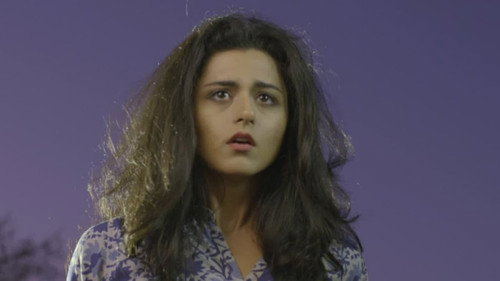 Shraap still
