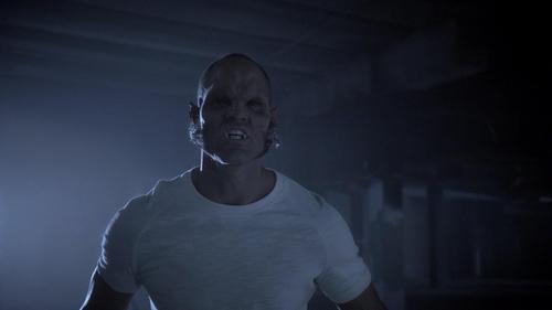 Teen Wolf Season 3 Episode 5 - Frayed