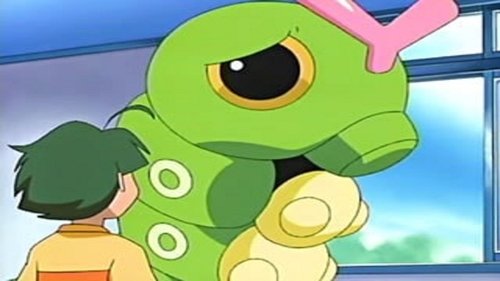 Caterpie's Big Dilemma still