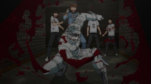 Cells at Work! Season 2 Episode 2 - Acquired Immunity/Peyer's Patch