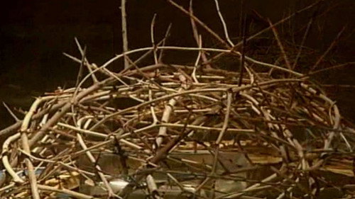 In Search of Holy Treasures Season 1 Episode 7 - The Crown of Thorns