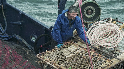 Deadliest Catch Season 14 Episode 3 - Dead in the Water