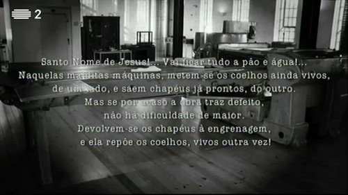Guided Tour Season 9 Episode 12 - Museu da Chapelaria, São João da Madeira