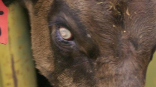 The Secret of Skinwalker Ranch Season 5 Episode 9 - Spinning Out