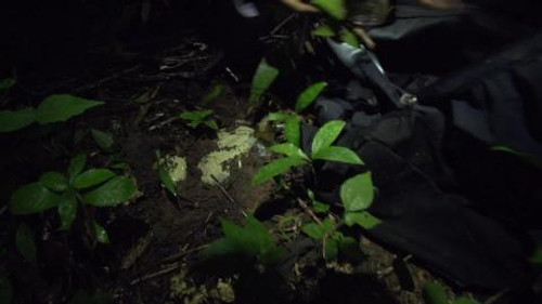 Amazonas Clandestino Season 1 Episode 2 - The way of cocaine
