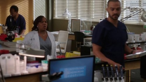 S13 - In Stitches still