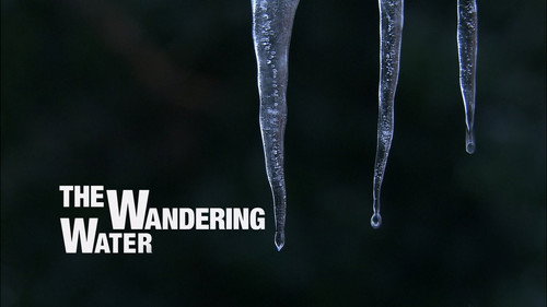 Water Life Season 1 Episode 2 - The Wandering Water