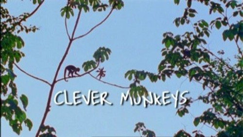 Natural World Season 28 Episode 3 - Clever Monkeys