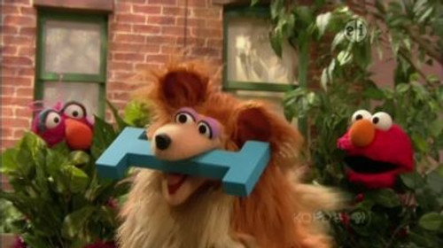 Sesame Street Season 41 Episode 15 - Fetch The Letter ‘I’
