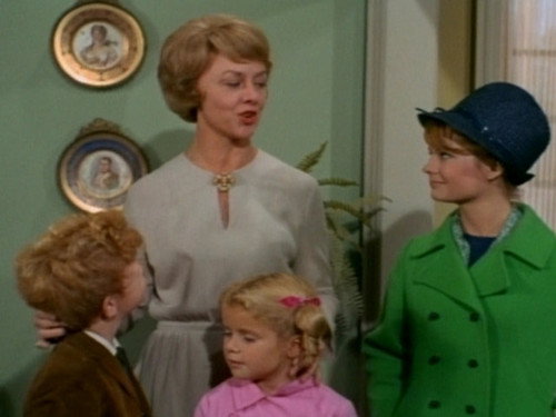 Family Affair Season 2 Episode 16 - Family Reunion