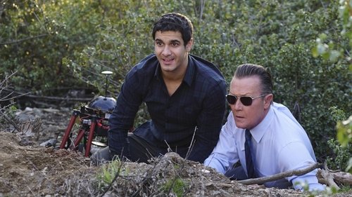 Scorpion Season 2 Episode 17 - Adaptation