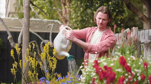 Gardening Australia Season 36 Episode 9 - Episode 9 Autumn: Special - Big Ideas for Small Spaces