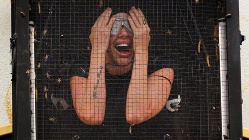 I'm a Celebrity...Get Me Out of Here! Season 24 Episode 11 - Shock Around the Clock