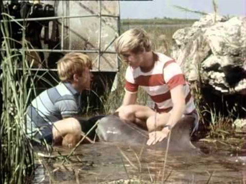 Flipper Season 2 Episode 22 - Air Power