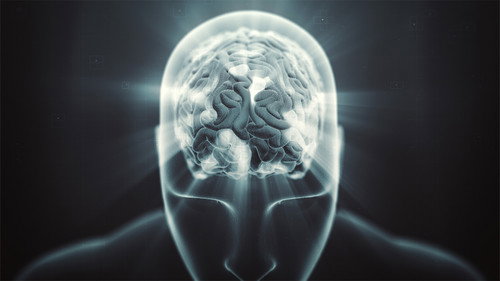 Searching for Superhuman Season 1 Episode 2 - Thinking Small