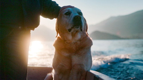 Dogs Season 1 Episode 3 - Ice on the Water