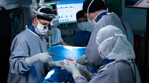 Grey's Anatomy Season 15 Episode 21 - Good Shepherd