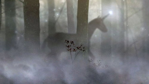 What Are Our Imaginations For? still