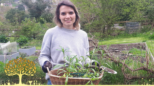 Gardeners' World Season 56 Episode 12 - Episode 12