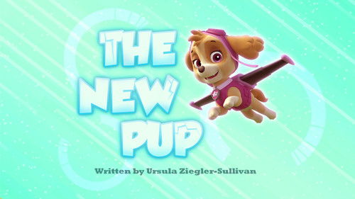 PAW Patrol Season 2 Episode 14 - The New Pup