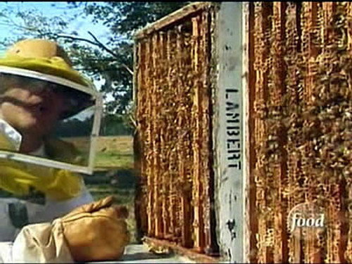 Good Eats Season 4 Episode 8 - Pantry Raid IV: Comb Alone