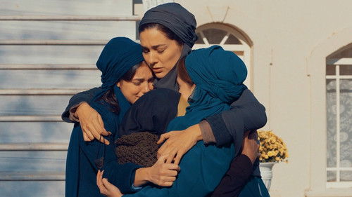 Wounded Love Season 1 Episode 5 - Episode 5