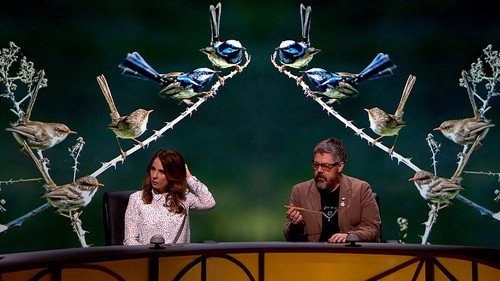 QI Season 14 Episode 1 - Naming Names