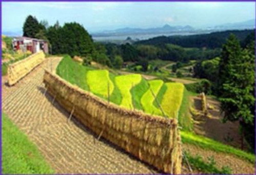 NOVA Season 28 Episode 7 - Japan's Secret Garden