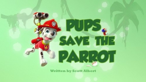 PAW Patrol Season 2 Episode 25 - Pups Save the Parrot