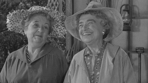 The Andy Griffith Show Season 1 Episode 17 - Alcohol and Old Lace