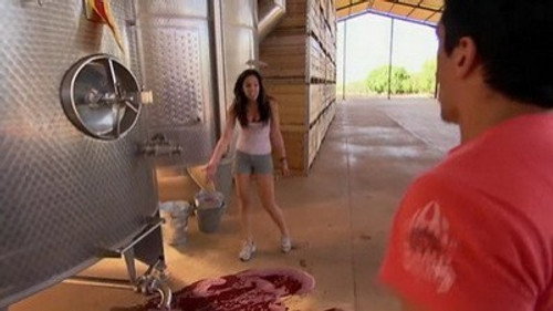 The Amazing Race Australia Season 1 Episode 5 - Leg 5