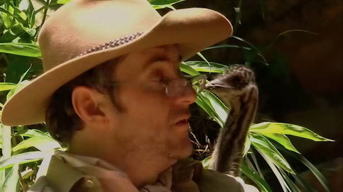 I'm a Celebrity...Get Me Out of Here! Season 4 Episode 10 - On Your Knees