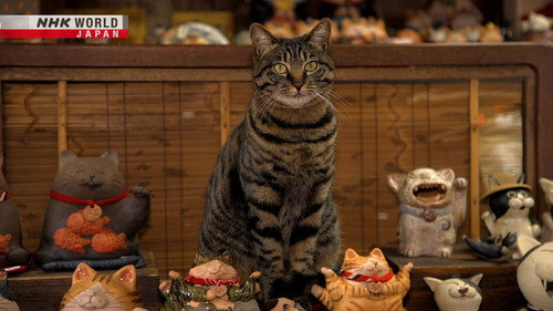A Cat's-Eye View of Japan Season 1 Episode 17 - Aichi: Lead by Beckoning Cats